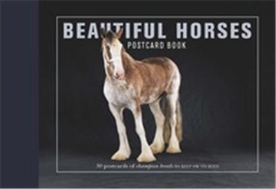 Beautiful Horses Postcard Book : 30 Postcards of Champion Breeds to Keep or Send