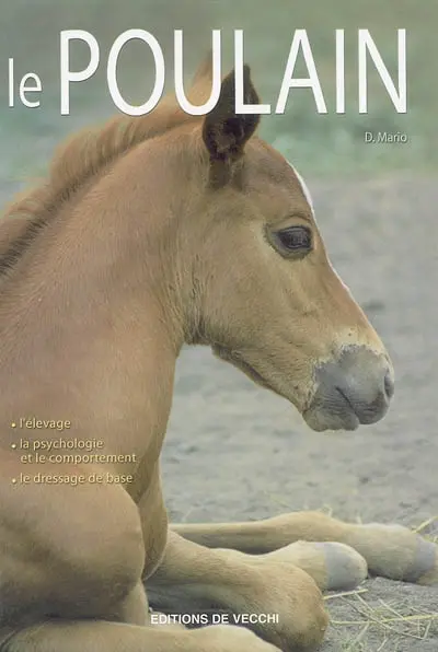 Le poulain
