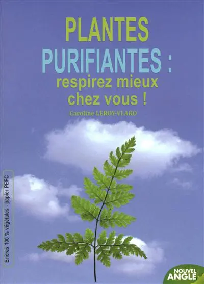 Plantes purifiantes : respirez mieux chez vous