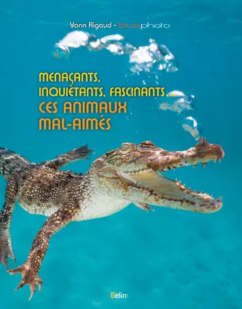 Menaçants, inquiétants, fascinants... : ces animaux mal-aimés