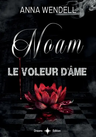 Noam : Le voleur d'âme