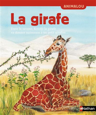 La girafe : dans la savane, Koudji la girafe va donner naissance à un petit girafon...