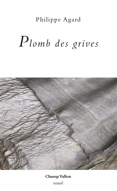 Plomb des grives : poèmes
