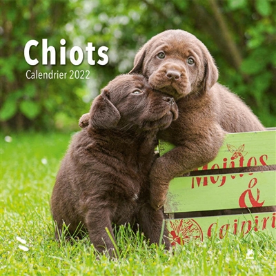 Chiots : calendrier 2022