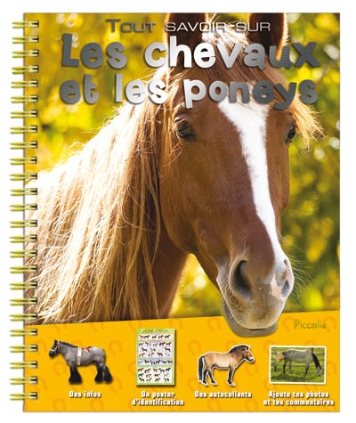 Les chevaux et les poneys