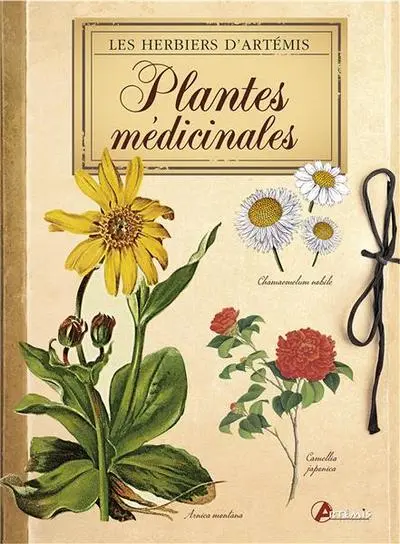 Plantes médicinales