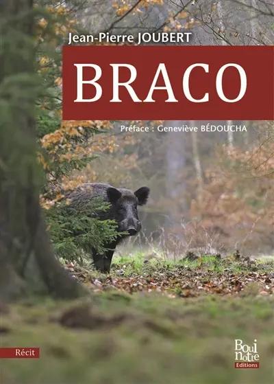 Braco : récit