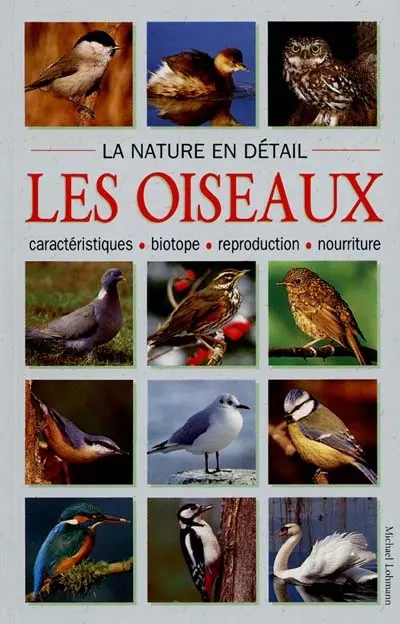 Les oiseaux : caractéristiques, biotope, reproduction, nourriture