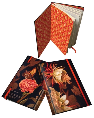 Belles-de-nuit : carnet de notes