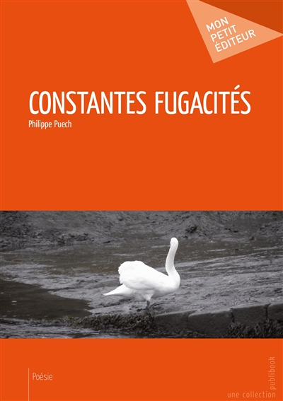 Constantes fugacités