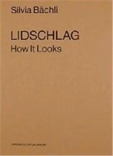 Silvia Bachli Lidschlag How It Looks (Paperback)