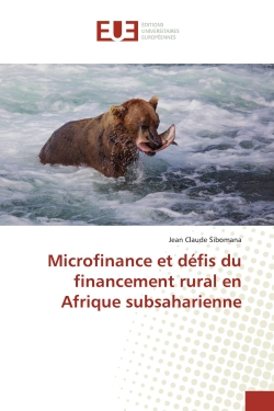 Microfinance et défis du...