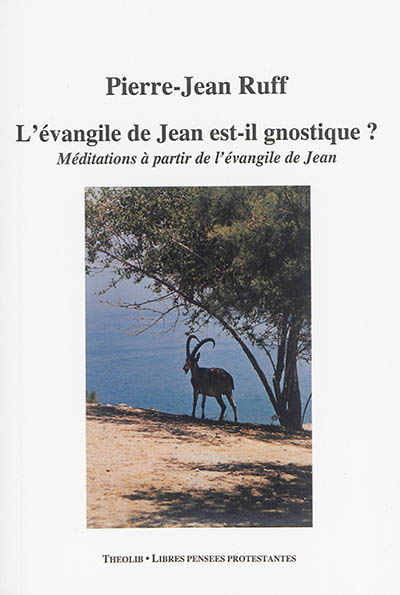 L'Evangile de Jean est-il gnostique ? : méditations à partir de l'Evangile de Jean