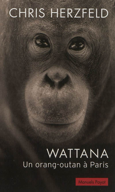Wattana : un orang-outan à Paris