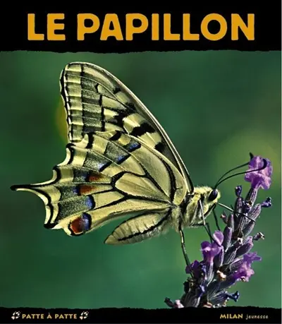 Le papillon