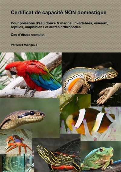 Certificat de capacité non...