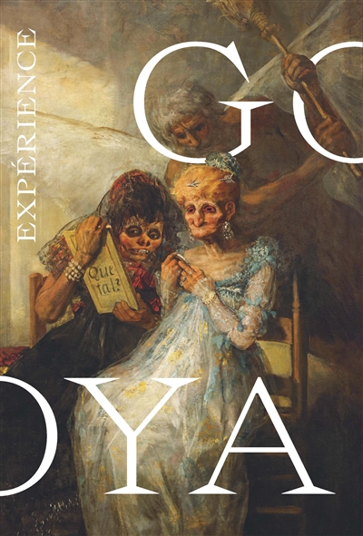 Expérience Goya : Palais des beaux-arts de Lille