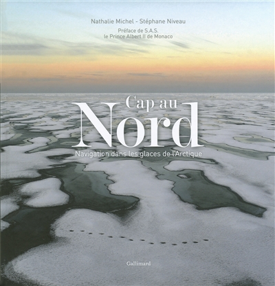 Cap au Nord : navigation dans les glaces de l'Arctique