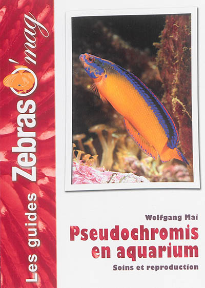 Pseudochromis en aquarium : soins et reproduction