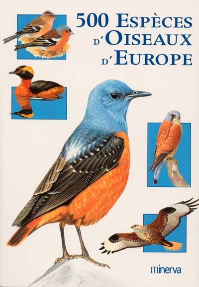 500 espèces d'oiseaux d'Europe