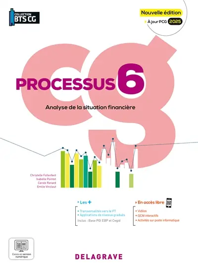 Analyse de la situation financière : processus 6, CG