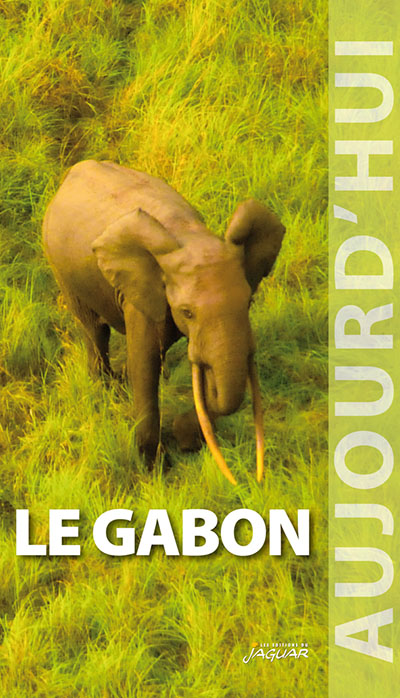 Le Gabon aujourd'hui
