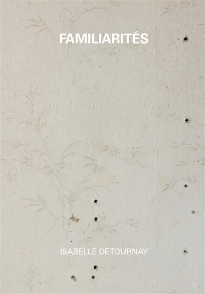 Familiarités : Isabelle Detournay : exposition, Tournai, Musée des beaux-arts, du 10 juin au 6 novembre 2023