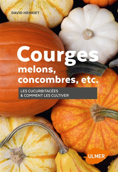 Courges, melons, concombres, etc. : les cucurbitacées & comment les cultiver