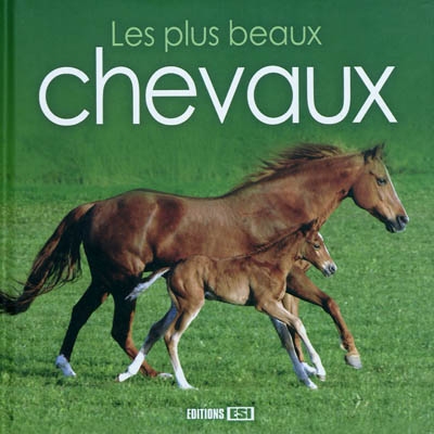 Les plus beaux chevaux