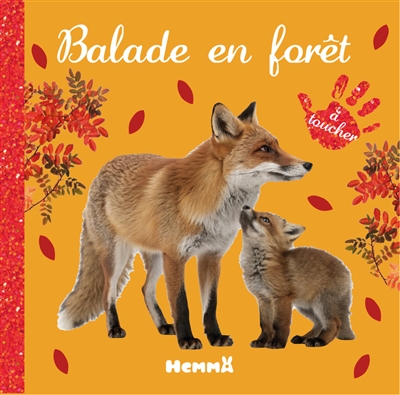 Balade en forêt : à toucher
