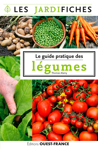 Le guide pratique des légumes