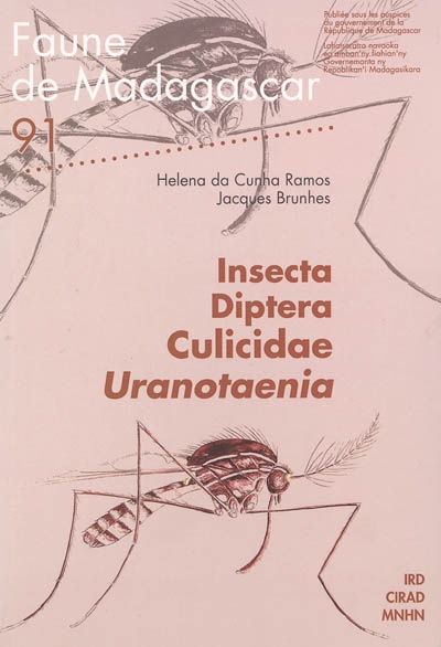 Insecta diptera culicidae Uranotaenia