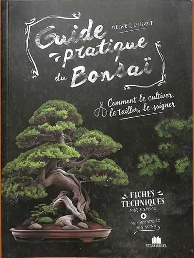 Guide pratique du bonsaï : comment le cultiver, le tailler, le soigner