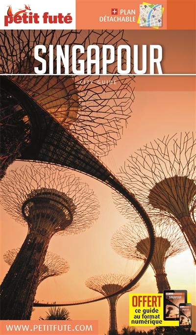 Singapour : 2016-2017