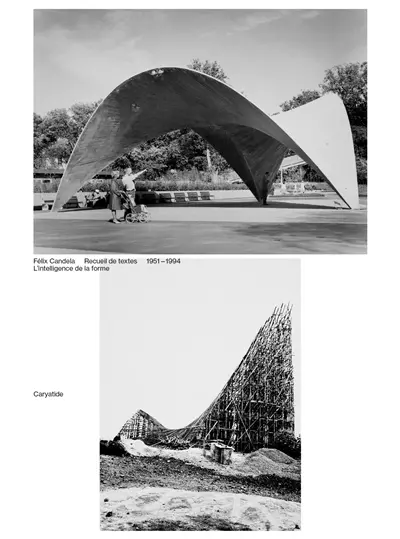 L'intelligence de la forme : recueil de textes 1951-1994