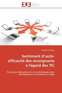 Sentiment d'auto-efficacité des enseignants à l'égard des TIC : Processus d'adoption de ces technologies dans l'enseignement secondaire au Niger