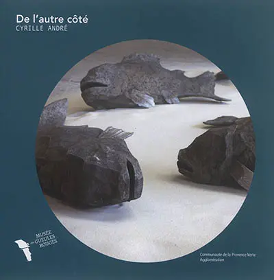 De l'autre côté : Cyrille André