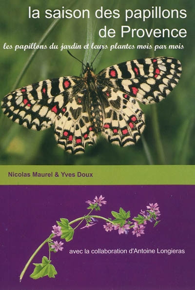 La saison des papillons de Provence : les papillons du jardin et leurs plantes mois par mois