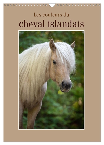 Les couleurs du cheval islandais (Calendrier mural 2025 DIN A3 horizontal), CALVENDO calendrier mensuel : Portraits artistiques du petit cheval d'Islande