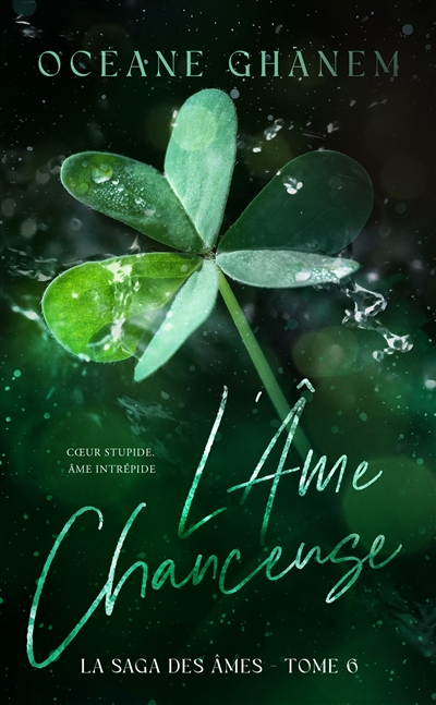 La saga des âmes. Vol. 6. L'âme chanceuse. Vol. 2