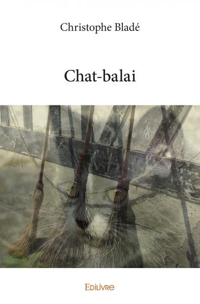 Chat balai