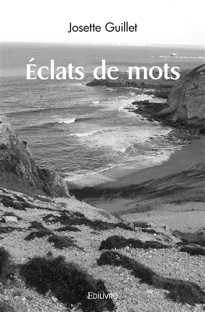 Éclats de mots