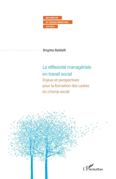 La réflexivité managériale en travail social : enjeux et perspectives pour la formation des cadres du champ social
