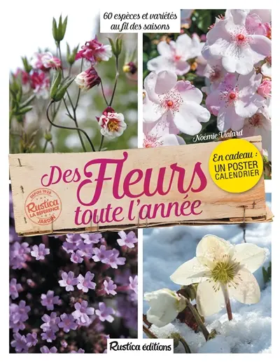 Des fleurs toute l'année : 60 espèces et variétés au fil des saisons