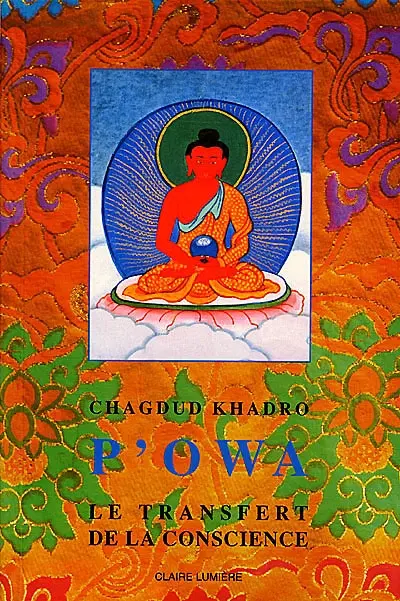 P'owa : le transfert de la conscience