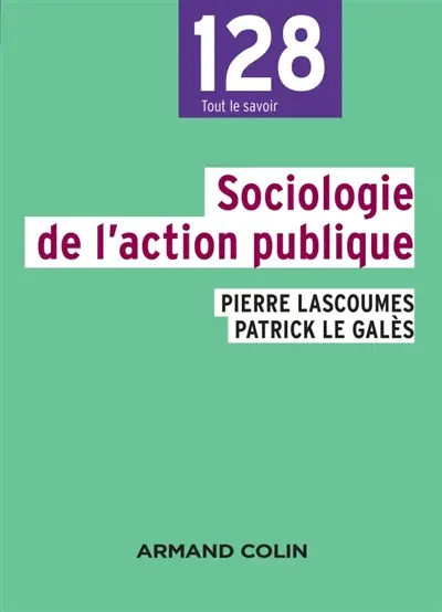 Sociologie de l'action publique