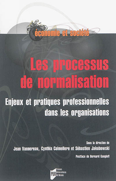 Les processus de normalisation : enjeux et pratiques professionnelles dans les organisations