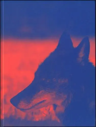 Asta Gröting : Das Wesen von x