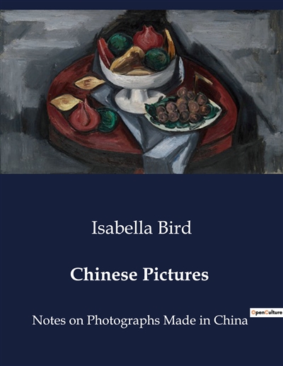 Chinese Pictures : Notes on Photographs Made in China