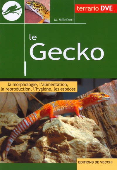 Le gecko : la morphologie, l'alimentation, la reproduction, l'hygiène, les espèces